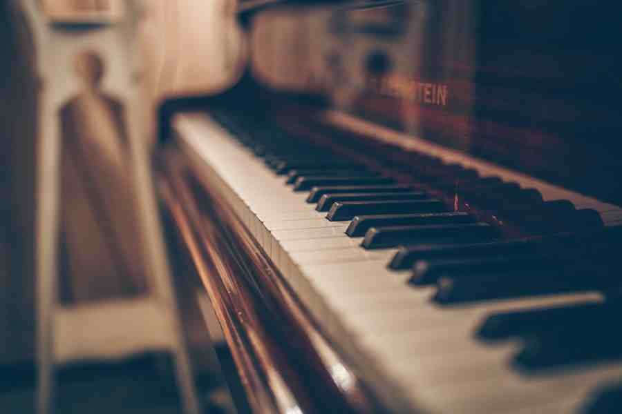 Harmonium Training